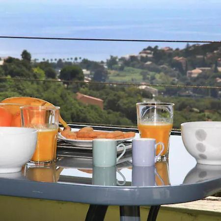 Cap Corse Uribellinu 2 Formule Petit Dejeuner Santa-Maria-di-Lota Exterior foto